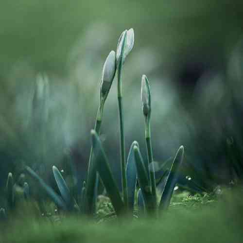 رضا ژیان قاتل من زنجیر عشقت بسته دست و بالم